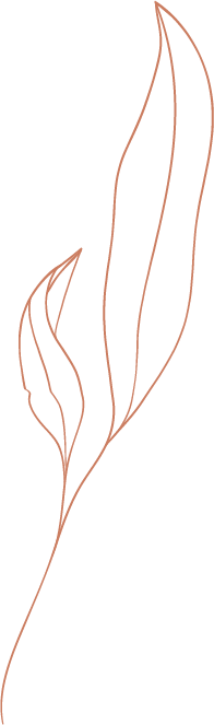 leaf@2x